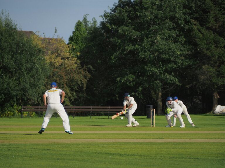 Cricket and Entrepreneurship: Indian Cricket’s Influence on Startups