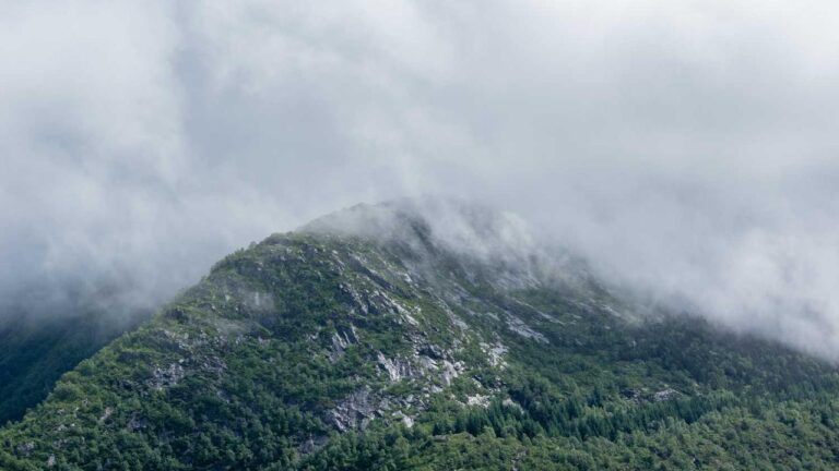 11Xplay Kya Hai Aur Kaise Use Karein?