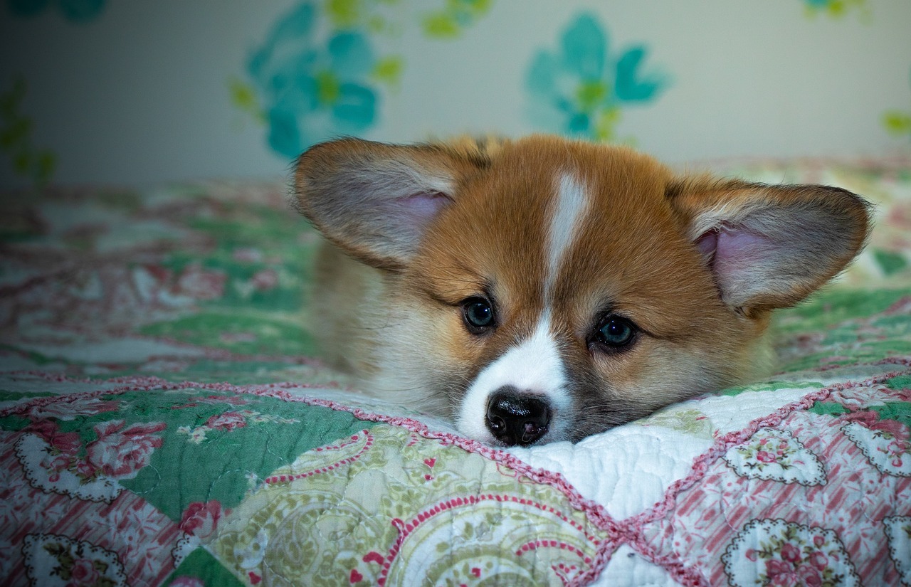 Reddybook: Revolutionizing Digital Learning & Collaboration – An In‑Depth Review