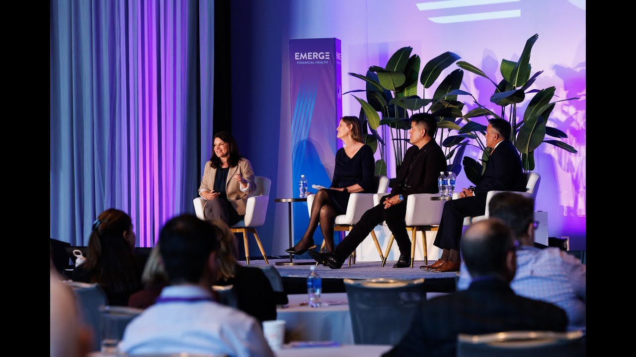 Reddy Anna: Visionary Leader, Innovator, and Champion of Digital Finance