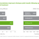 How to Quickly Get Cricket ID Online – Complete Step‑by‑Step Guide